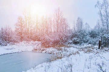Obraz na płótnie Canvas Frozen small pond with snow and trees. Czech landscape