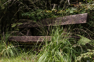 Wanderung im Teutoburger Wald