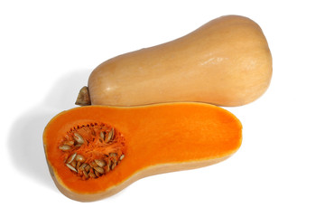 Butternut sur fond blanc