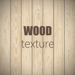 Wood background. Wood texture, EPS 10 vector.