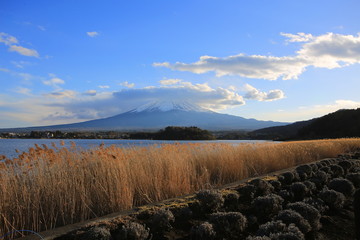 landsscape of mount fuji