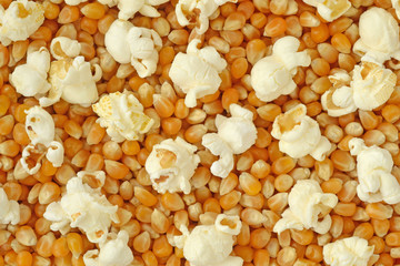 Dried corn kernels and popped popcorn