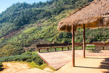 Landscape View at Tea Plantation 2000