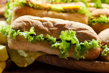Fresh homemade hamburger with fresh vegetables and herbs.