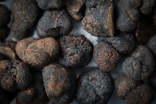 Black truffle mushroom background