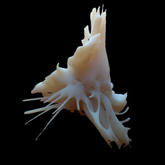 Abstract 3d rendered form. Complex deform structure. Twisted organic form..