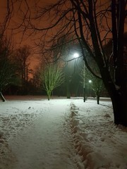 Noc w parku © michalsen