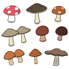 vector set of mushrooms