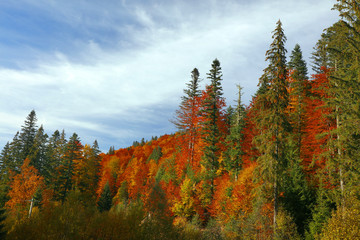 Fototapeta na wymiar Autumn landscape in the Romanian Carpathians, Europe