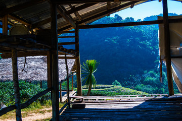 Shed at Tea Plantation 2000
