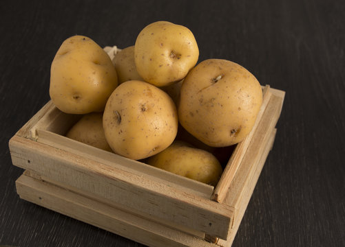 Creole potato or yellow potato (Solanum phureja)
