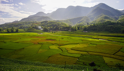 Terraced rice field in Northern Vietnam