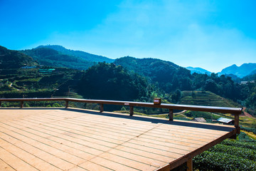 Landscape View at Tea Plantation 2000