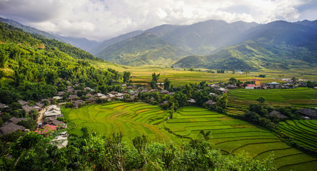 Terraced rice field in Northern Vietnam