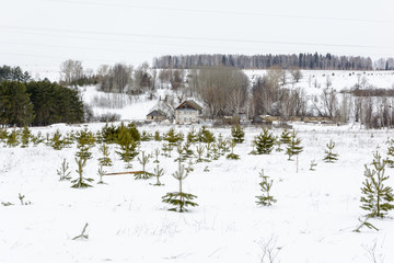 Last days of winter on the fields