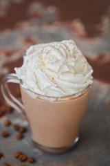 delicious hot chocolate with whipped cream in glass cup 
