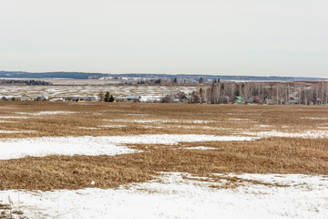 Early spring in the fields