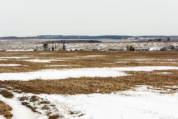 Early spring in the fields