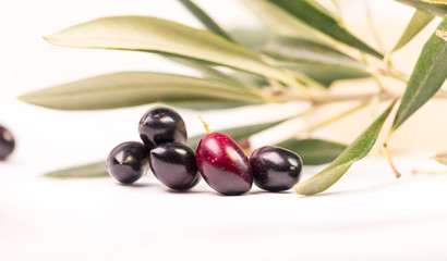 olives ripe  leaf ripe leaves isolated in white background