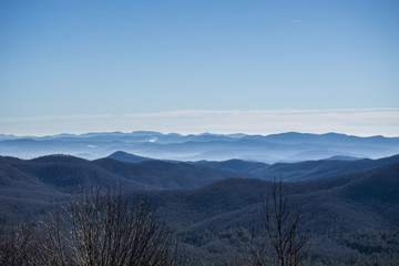 Cradle of the Forest