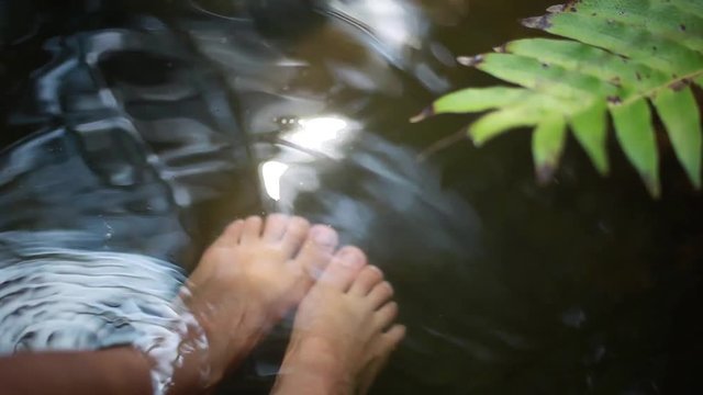 Close up of feet with fish spa in natural pond and sunlight in water on palm branch on foreground. 1920x1080