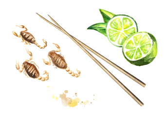 Fried small Scorpions and lime. Asian food, isolated on white background. Top view. Watercolor hand drawn illustration