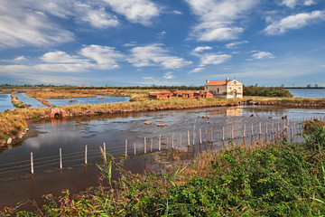Po Delta Park landscape in Porto Tolle, Rovigo, Veneto, Italy