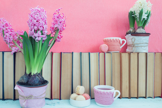 Pink hyacinths, macaroons, tea cups and white hyacinths near pile of books at pink background. Beautiful spring pink background. Copy space.