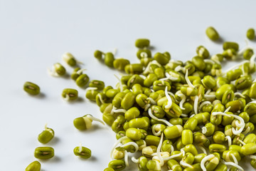 Sprouted organic grains of mung beans