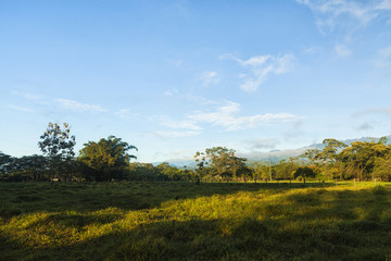 Llanos Orientales de Colombia.