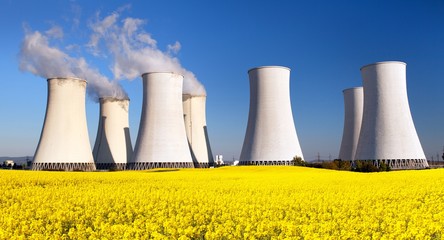 Nuclear power plant and  field of rapeseed