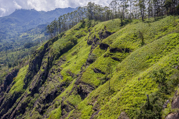 Ella rock, Sri Lanka