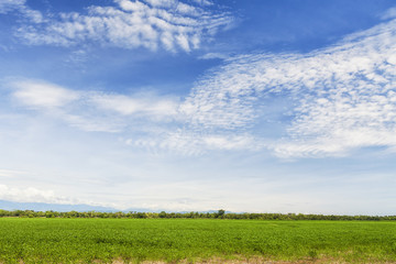 Llanos Orientales de Colombia.