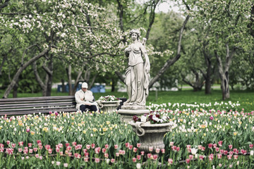 Obraz premium Blurred image of unrecognizable elderly man, pensioner, lonely resting in blooming spring park. Selective focus. Concept time, contrasts, interests elderly, life style