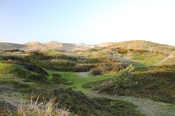 Fototapeta premium Dünen, Insel Amrum