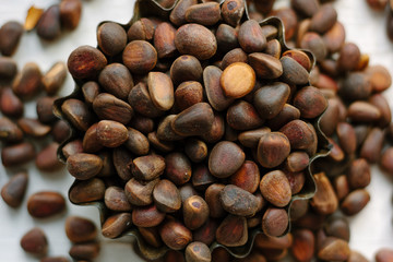 Heap of fresh and ripe pine nuts over white wooden table.