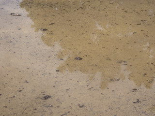 water and soil