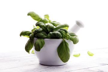 basil and  basil leaves in white mortar on wooden background