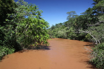 brudna woda po ulewach tropikalnej rzeki wijącej się pomiędzy bujną roślinnością