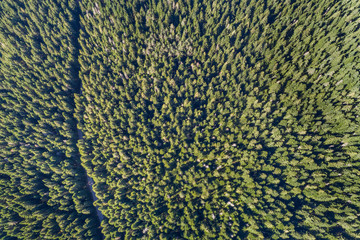 Aerial view on National park Durmitor. Montenegro. 