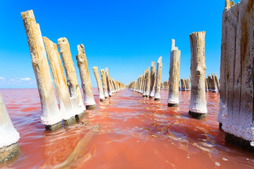 The salty lake with pink water and the beach from salt. Old logs pier on Lake Sasyk in the Crimea