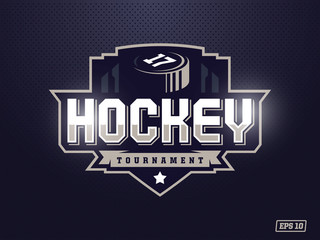Modern professional hockey logo for sport team