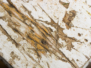 Close-up of a white painted wooden table with scratches