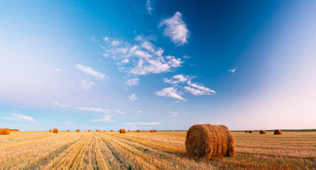 Rural Landscape Field Meadow With Hay Bales After Harvest In Sunny - obrazy, fototapety, plakaty