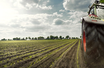  Traktor auf Maisfeld © m.mphoto