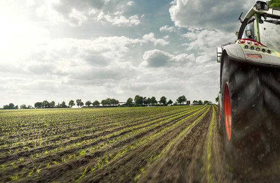  Traktor auf Maisfeld