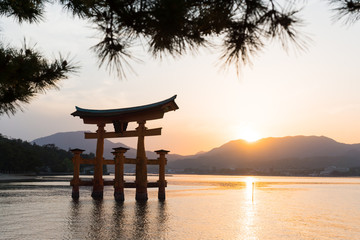 sunset with Japan gate (O-Torii) in Miyajima