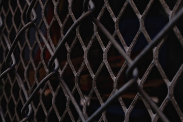 Fototapeta premium focus