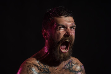 Bearded hipster with angry face shout on black background