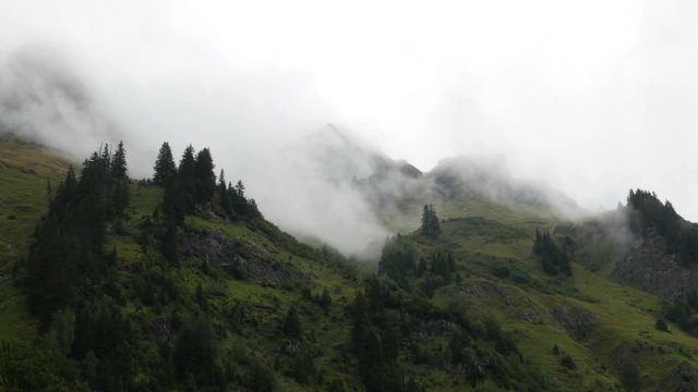 disturbing mists on rocky slope wooded by fir - brumes inqui&eacute;tantes sur une pente rocheuse bois&eacute;e de sapins